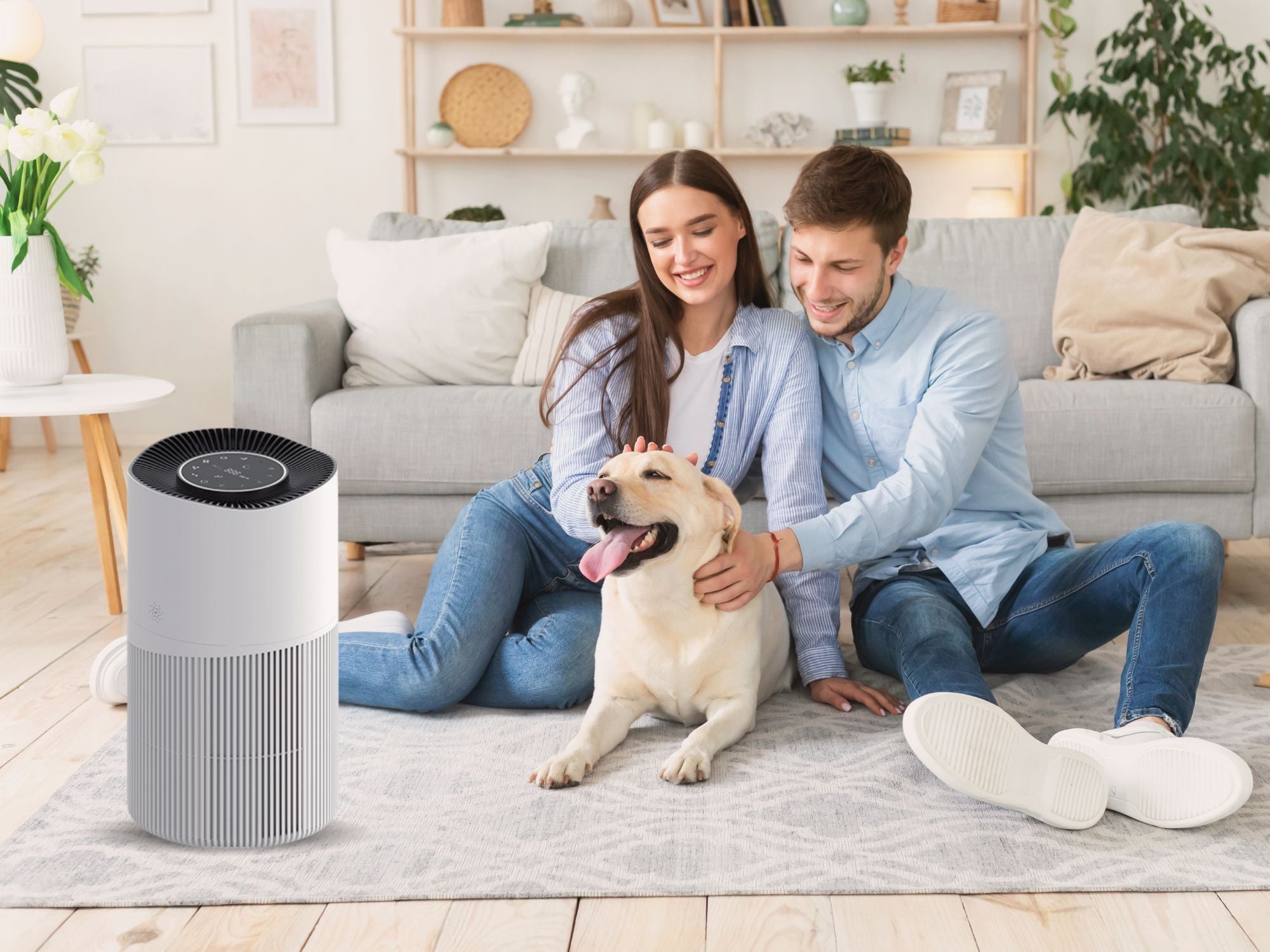 The Many Benefits of Owning a TLENEMOS PJ10 PRO Air Purifier