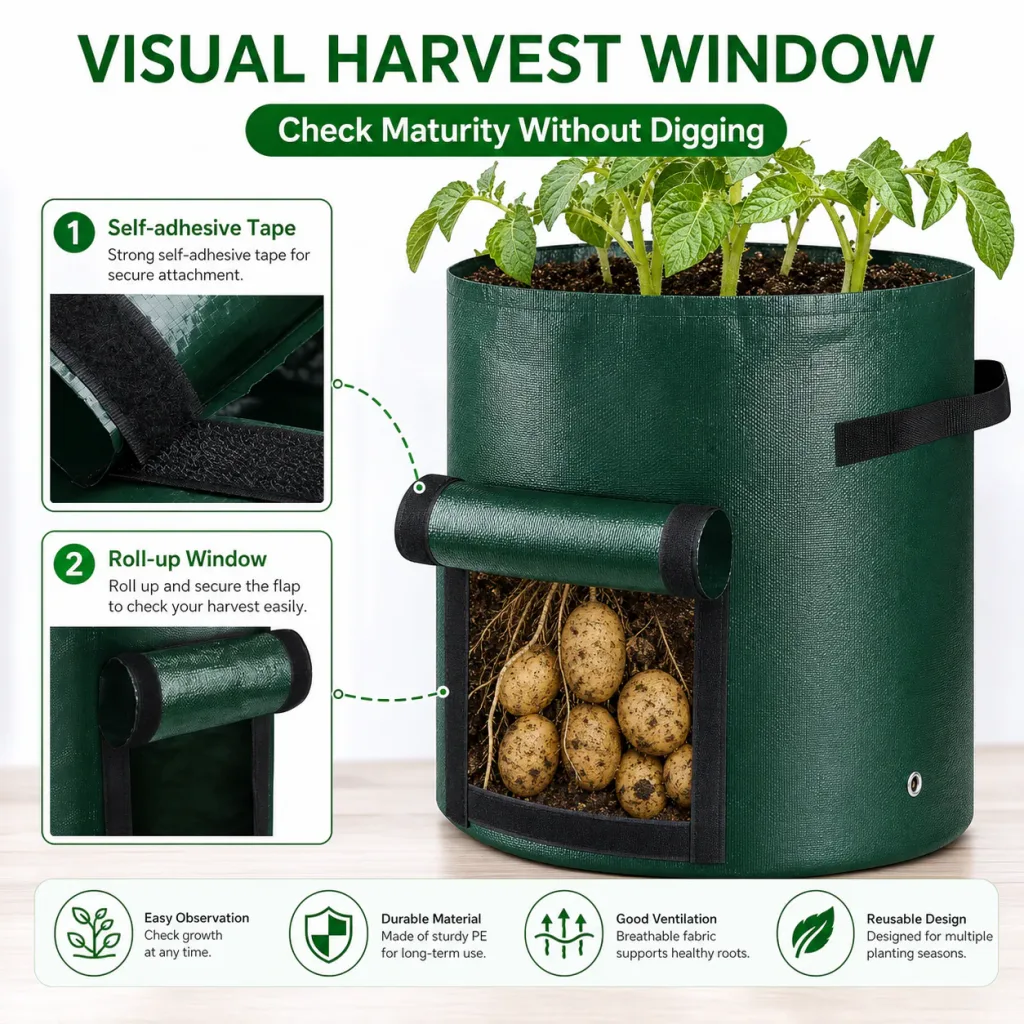 Potato grow bag harvest window