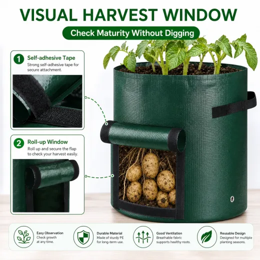 Potato grow bag harvest window